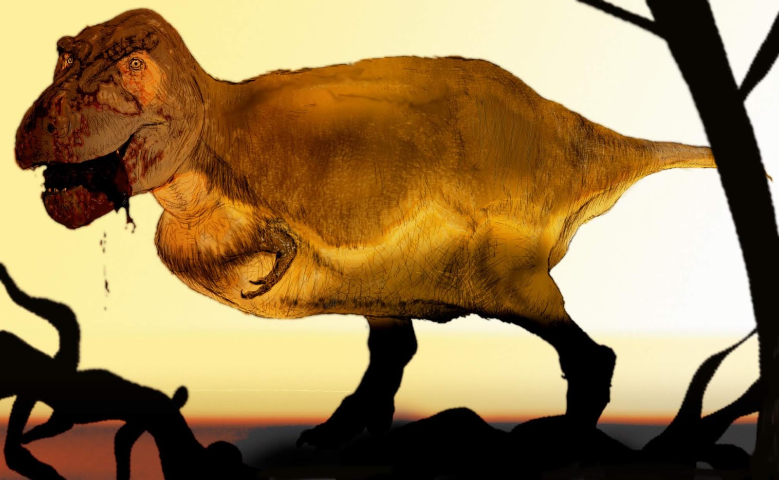 Theropoda Ma il Trex piumato è solo un pollo gigante!