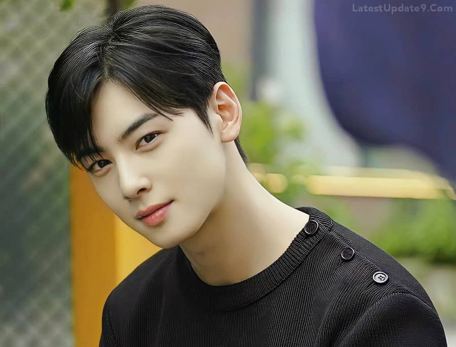 Cha Eun-woo — The Movie Database (TMDB)