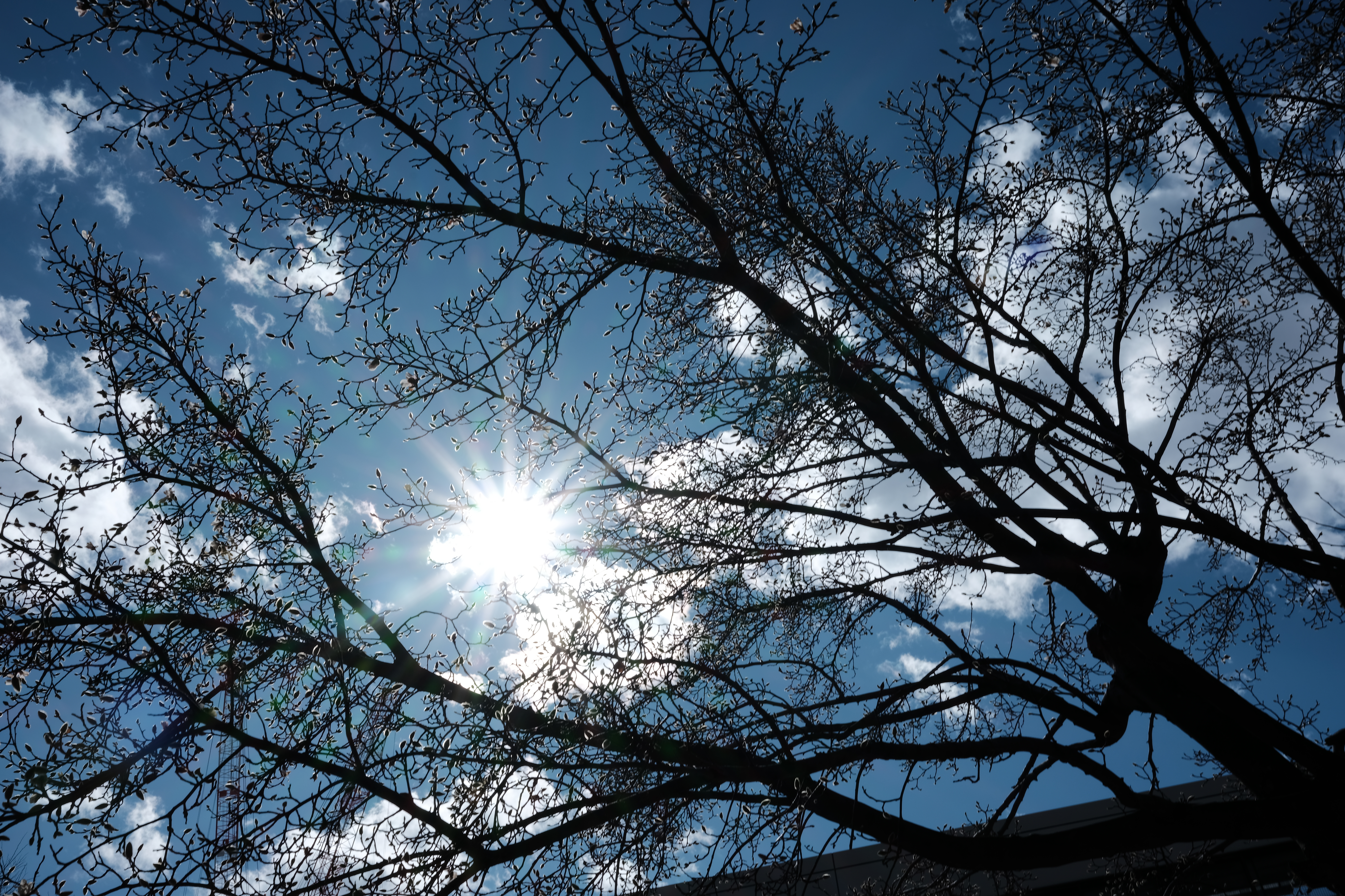 DSCF0990.JPG