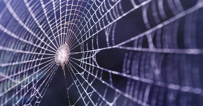 паутина баннер.