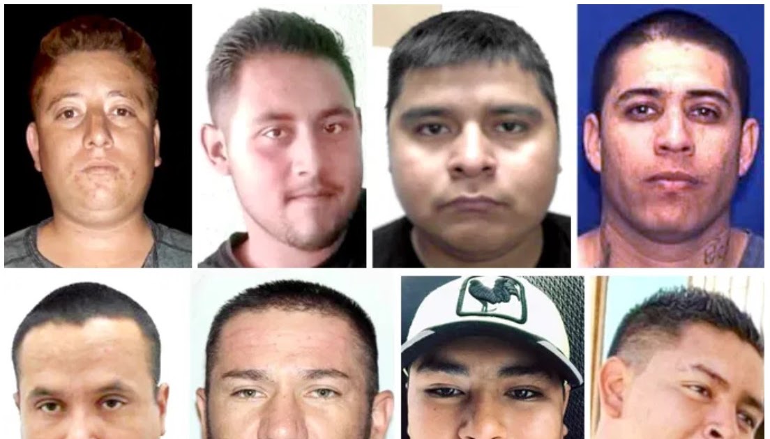 Sinaloa Cartel Faction 'Los Oaxacos' and the Drug Plantations in Baja