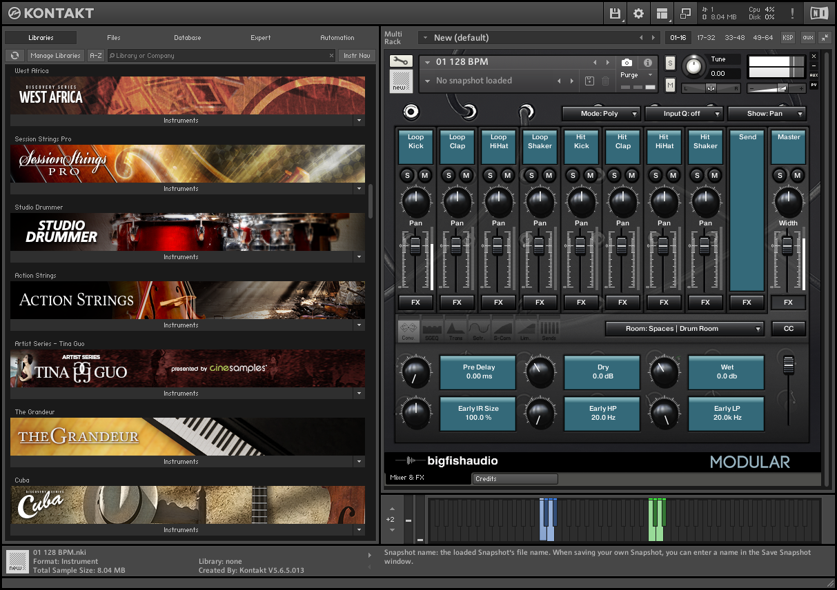 Big Fish Audio - Modular Analog Tech House KONTAKT Library