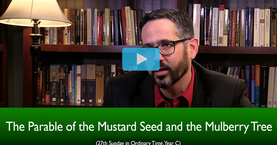 The Sacred Page The Parable of the Mustard Seed & the Mulberry Tree (The Mass Readings Explained)