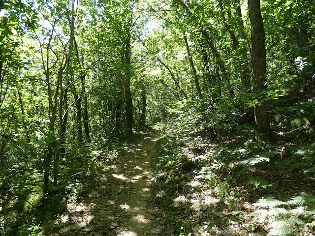 Un long chemin pentu permet de s'échapper de Las Planquas en direction du hameau de la Bessié.