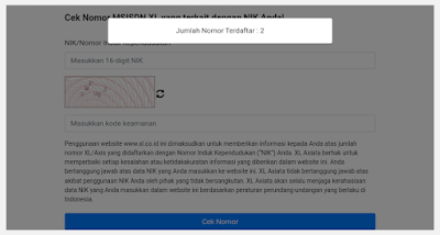 hasil pengecekan nik XL