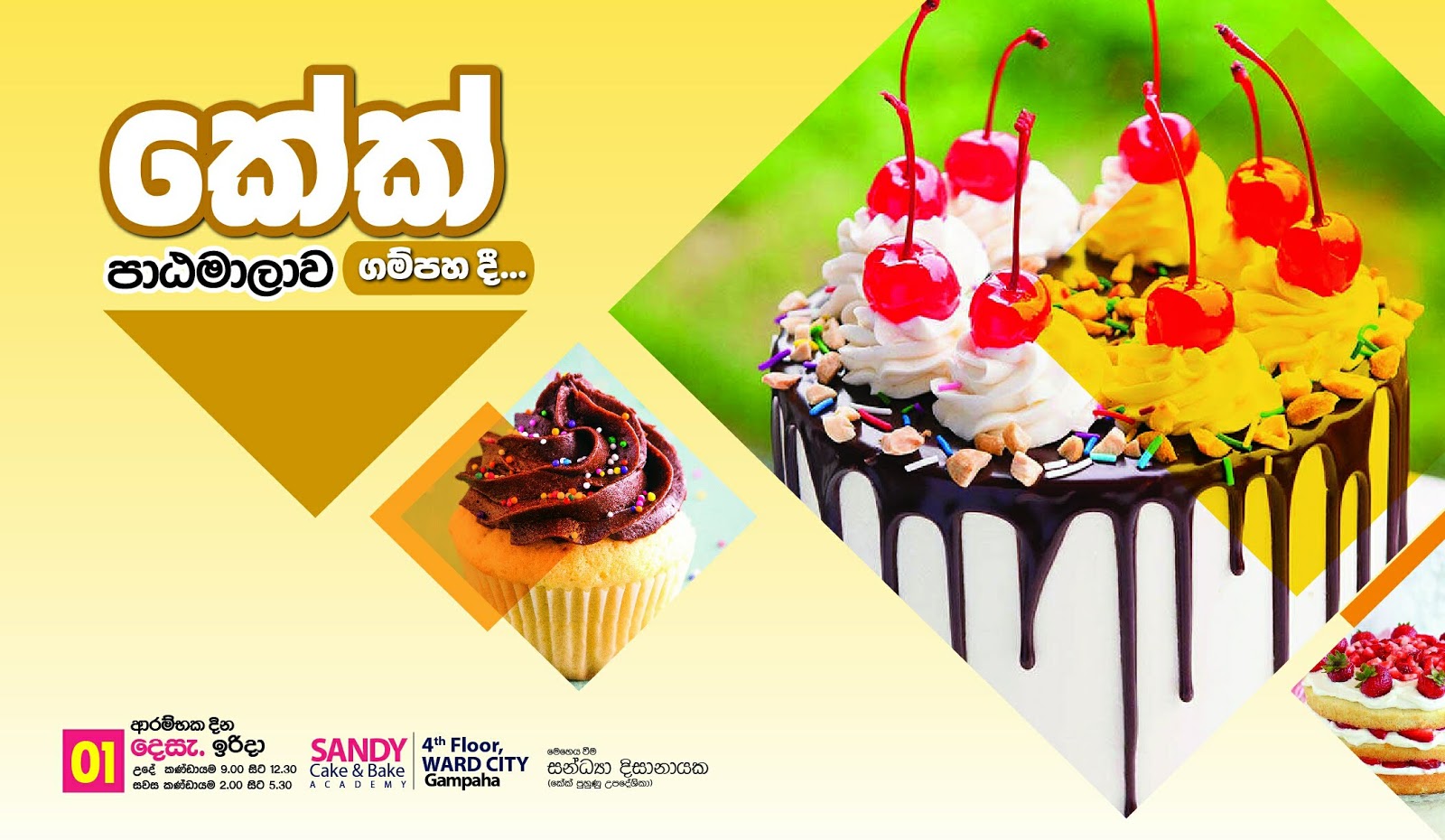 Cake classes Sandy Foods Sri Lanka