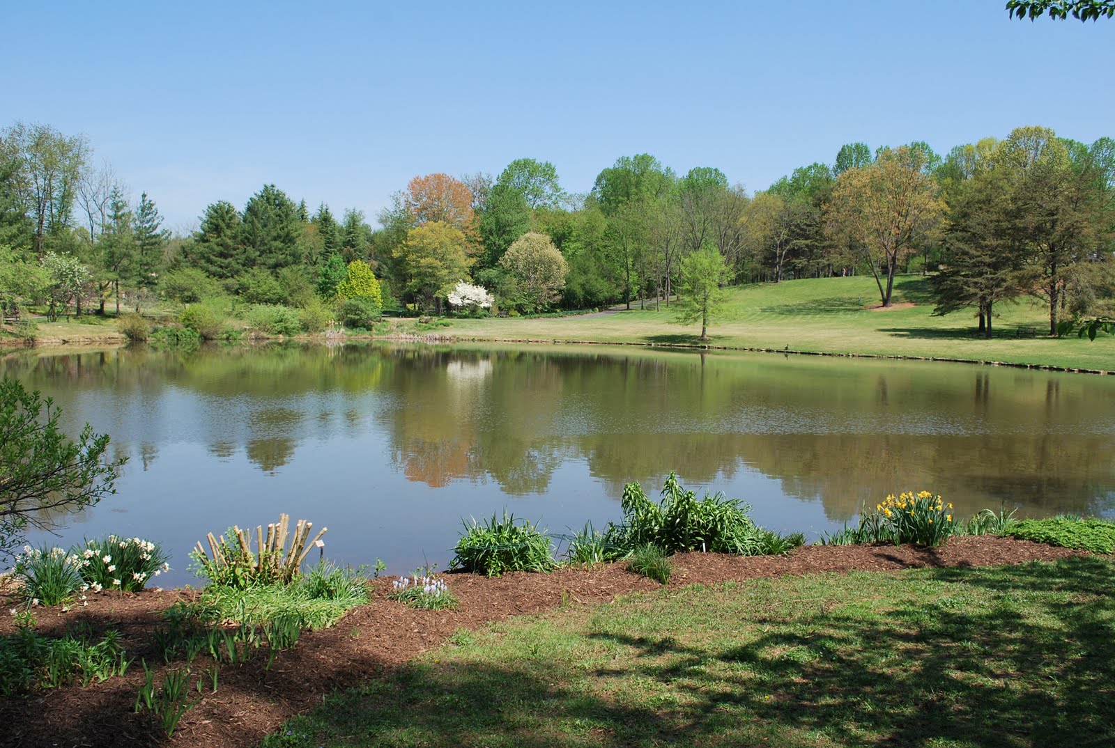 The Next Best Thing..... Meadowlark Botanical Gardens in Vienna, VA!
