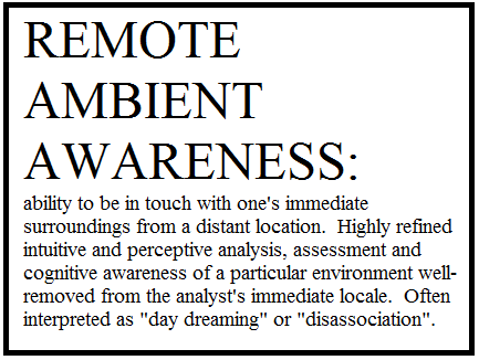 Situational Awareness or Remote Ambient Awareness?