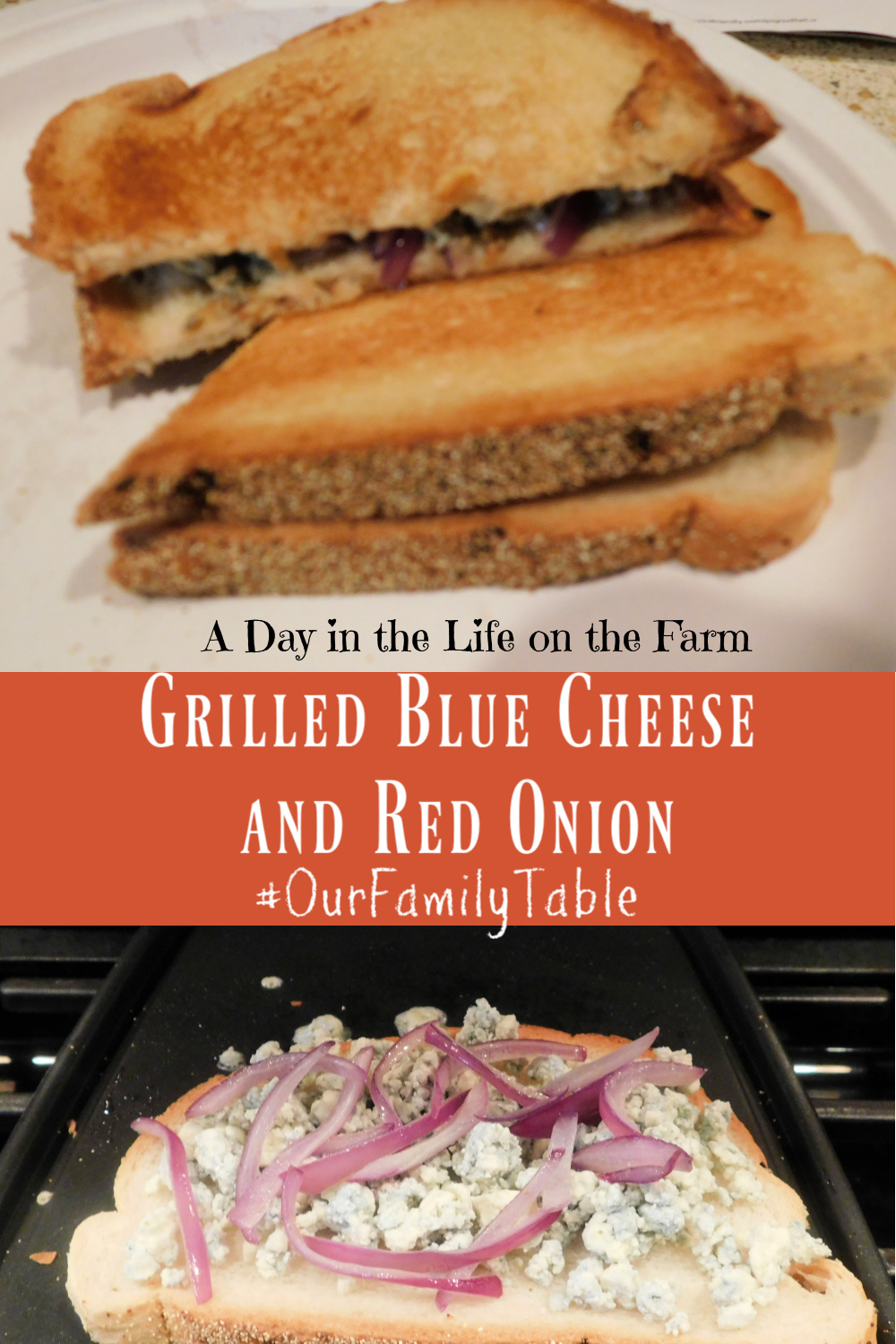 A Day in the Life on the Farm Grilled Blue Cheese and Onion Sandwich 