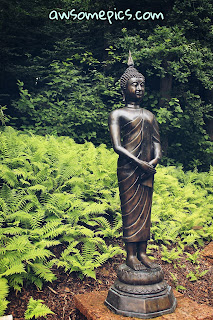 Gautam Buddha images