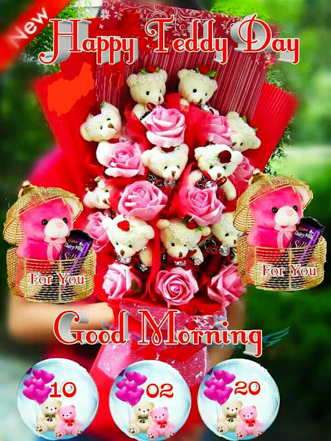 teddy day images for whatsapp