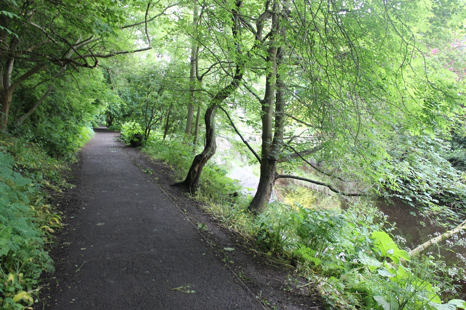 Sara Hikes... But Not Enough Water of Leith Walkway Roseburn to