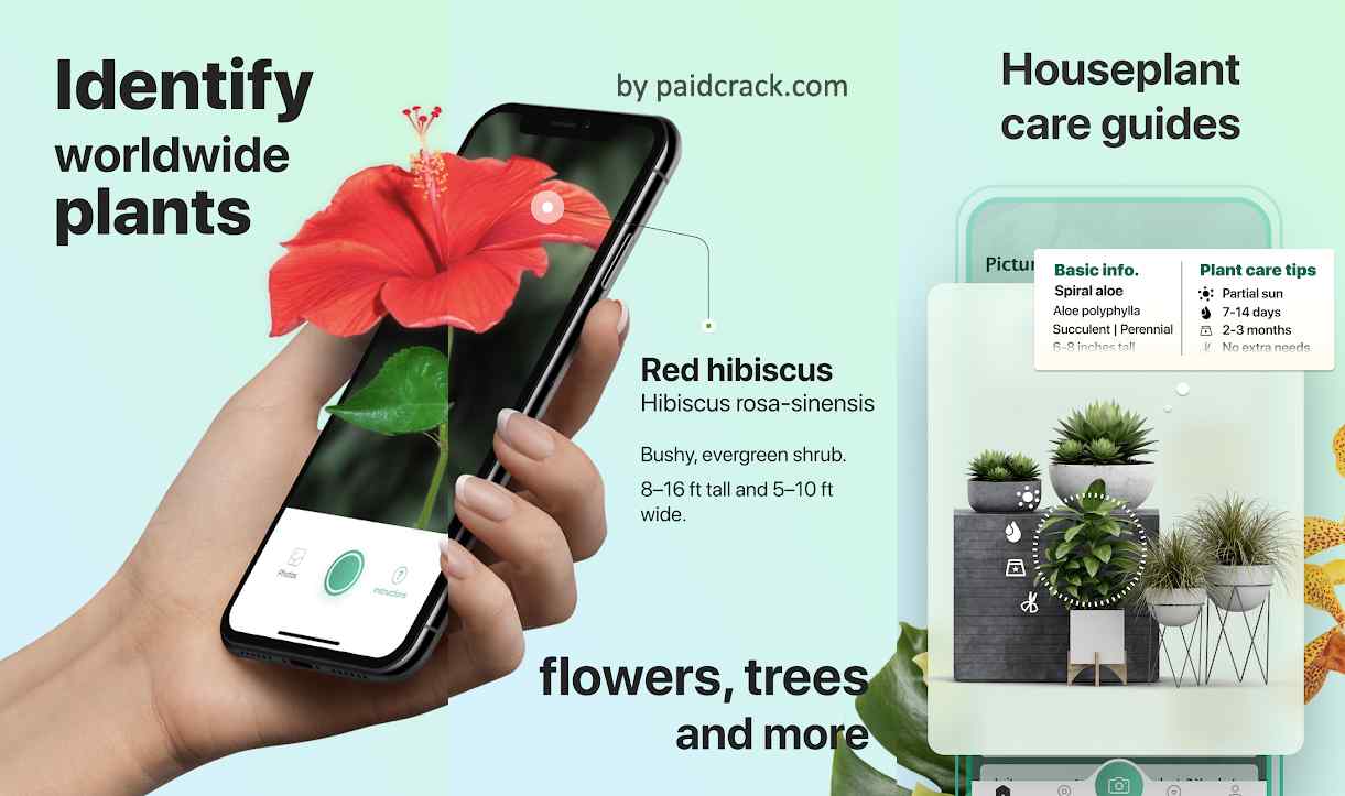 PictureThis Identify Plant, Flower, Weed and More Premium Mod Apk 2.10.1 PictureThis Identify Plant, Flower, Weed and More Premium Mod Apk 2.10.1