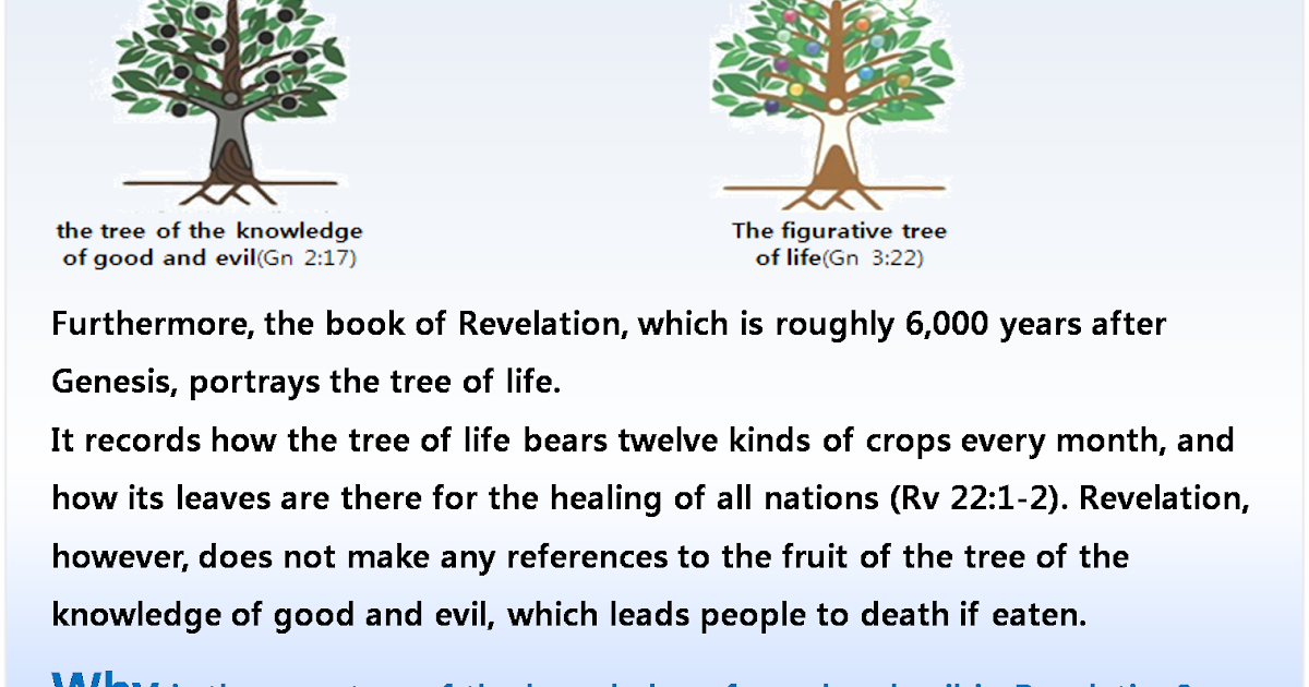 DECODING THE TREE OF LIFE IN THE BIBLE