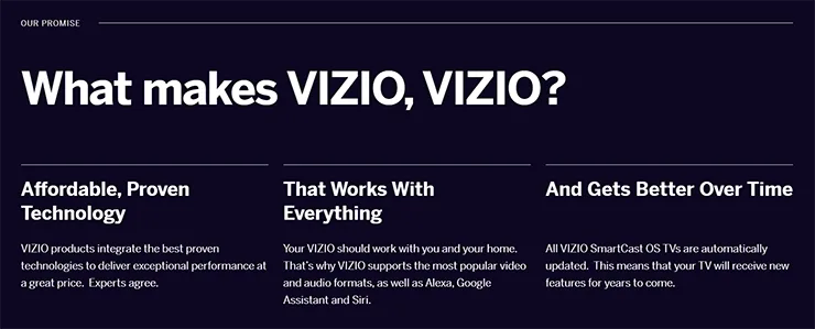 Выходящая на IPO VIZIO Holding о себе IPO VIZIO Holding