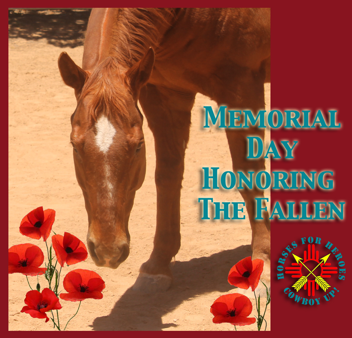 HORSES FOR HEROES New Mexico Cowboy Up! 5057982535