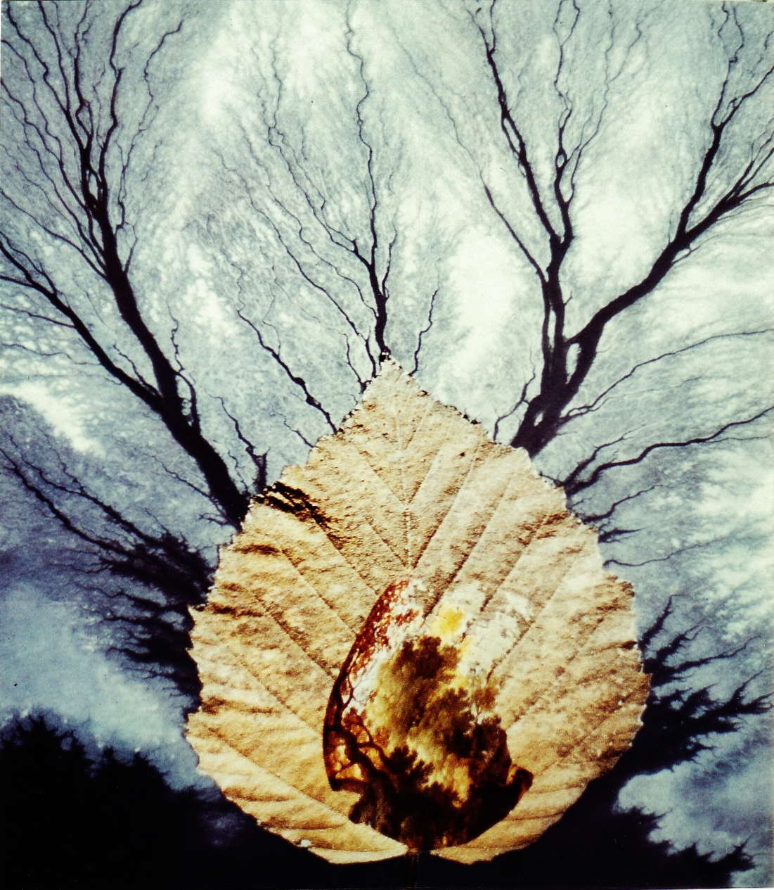 Dr Jurgen Schwalm 2019