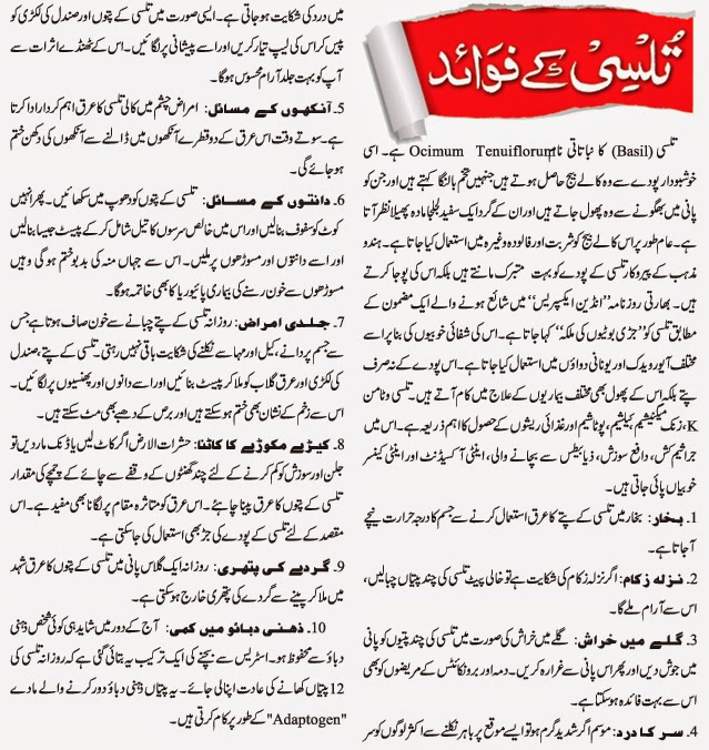 Tulsi Benefits In Urdu Hindi Tulsi Ke Fayde Salaam Pakistani