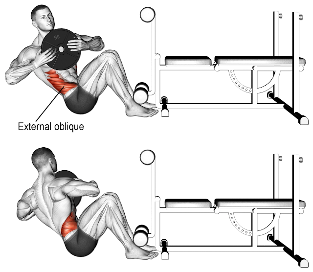 Dumbbell Russian twist