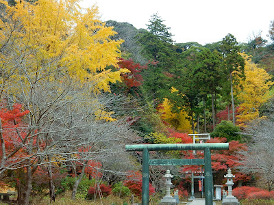 �������̍g�t