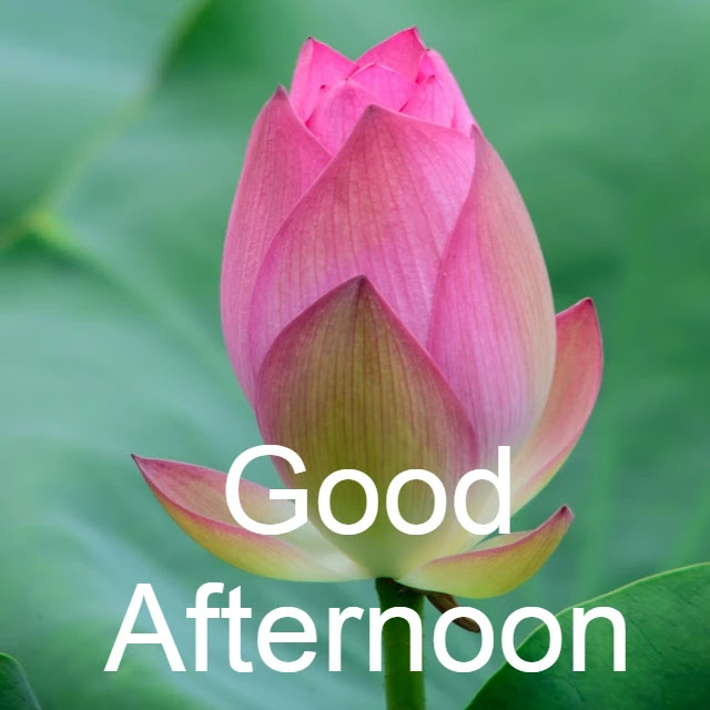 Good Afternoon Image HD Good Afternoon Image HD