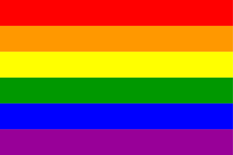Gay Marriage Flag 90