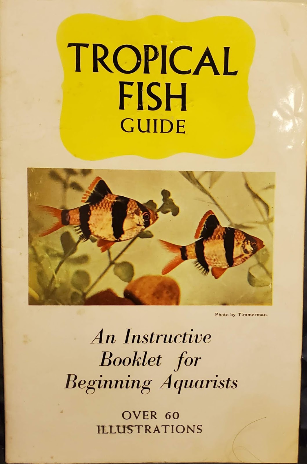 Tropical Fish Books Author Herbert Axelrod Tropical fish authors TFH