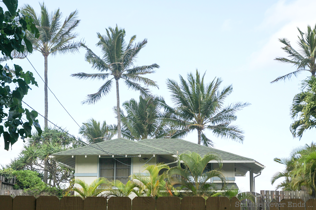 random,north shore,oahu,hawaii,beach house,beach shack,végétation tropicale,palmiers,bananiers,