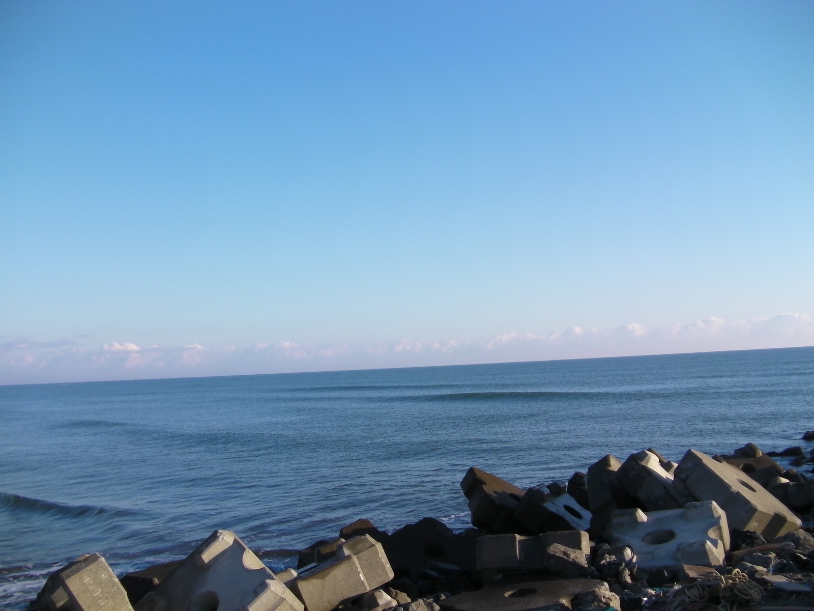 READYMADE STAFF BLOG No Abnormalities