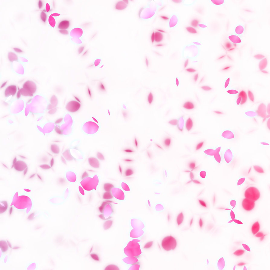 ©Romina Soledad Bada Bitácora interior Pétalos de rosas