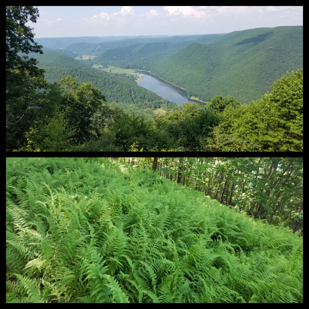 davejennyjournal Kettle Creek State Park Pennsylvania