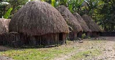 View Rumah Adat Daerah Papua Yang Disebut Pictures
