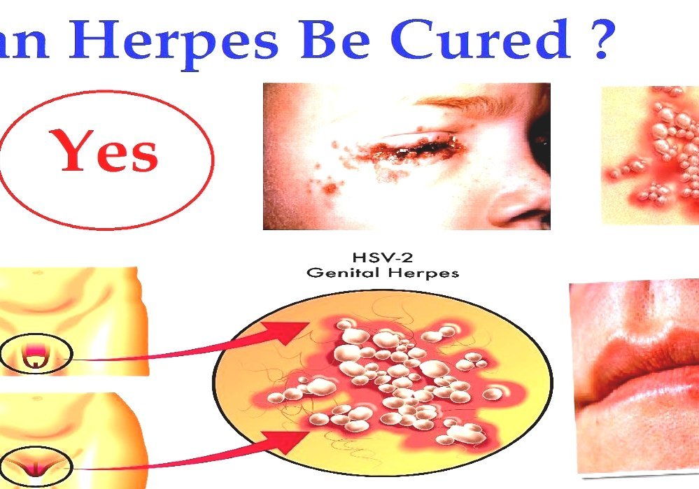 dating shows on tv 2015