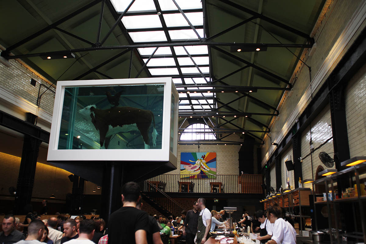 tramshed bull