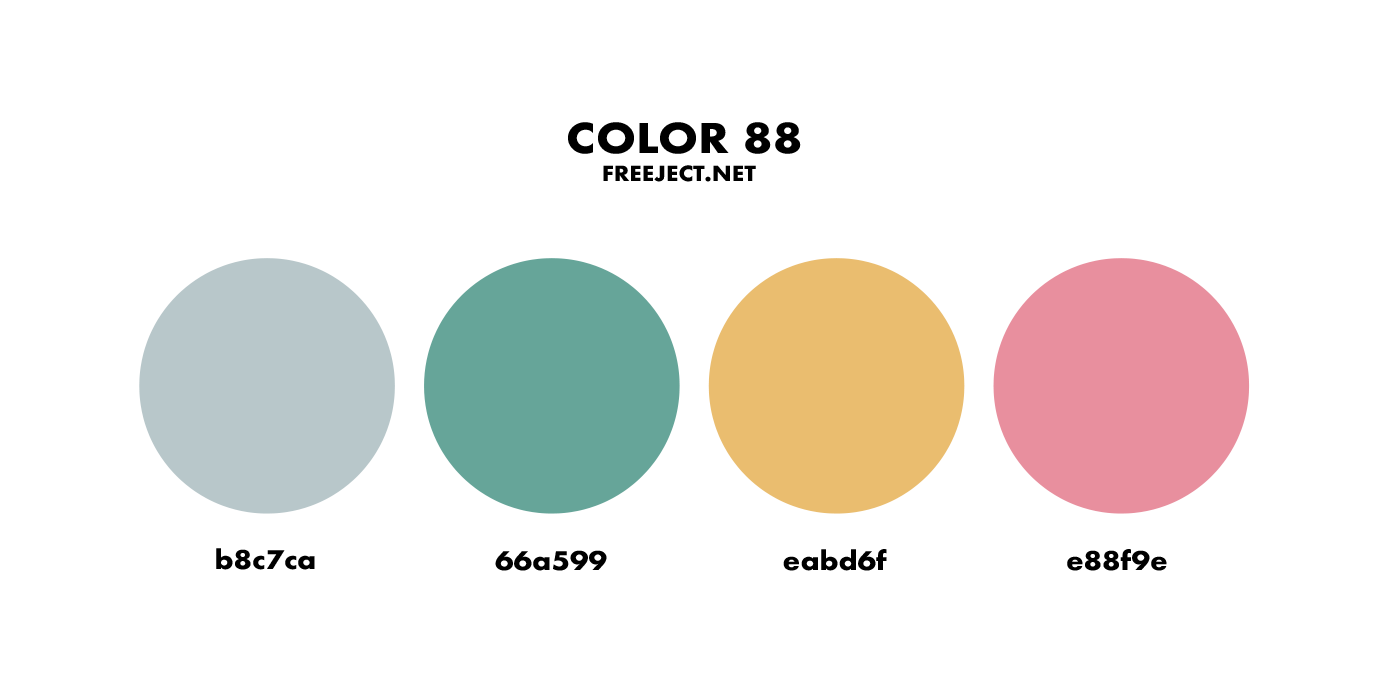 Color Palette PNG 4 Color Combinations