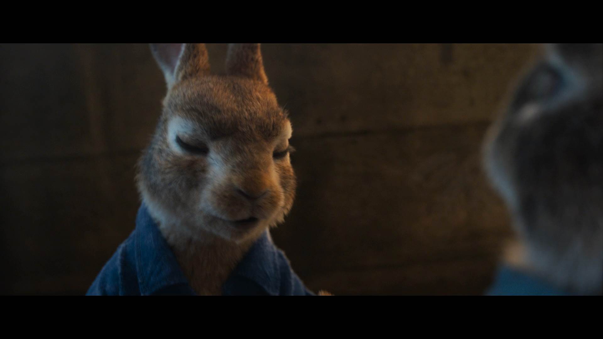 Peter Rabbit 2 Conejo en Fuga 2021 Full HD 1080p Latino Castellano 2