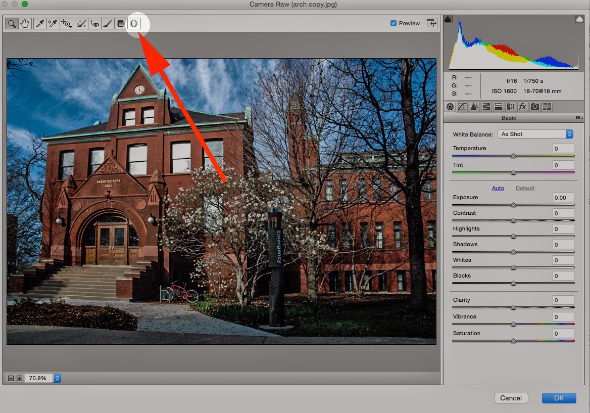 Leona's Blog Spot Camera Raw Radial Filter