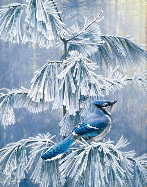  Роберт Бейтмэн / Robert Bateman Frosty Morning - Blue Jay