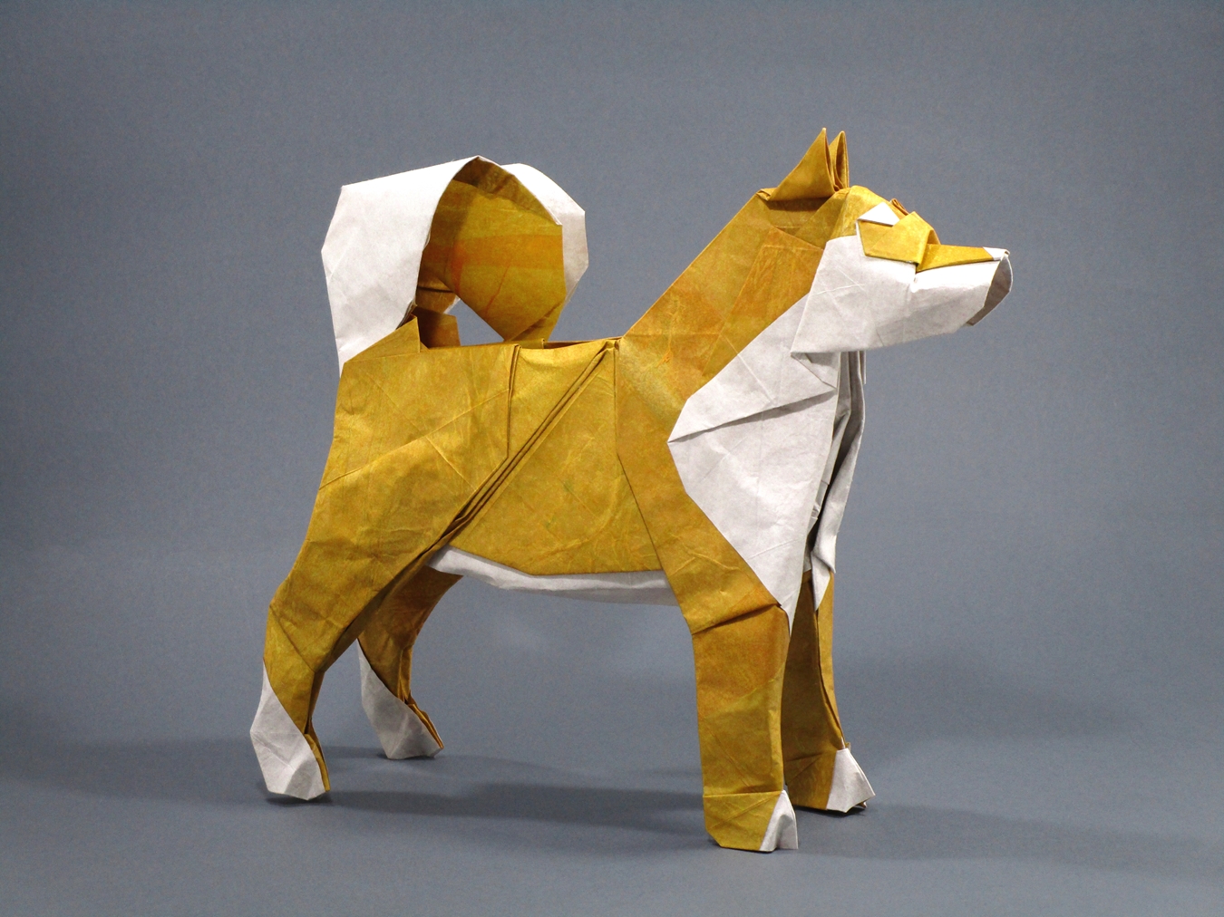 MarianoMi mundo el Origami Akita Inu Dog