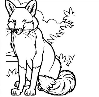 Sketsa Gambar Hewan Berkaki Empat Terbaru Dan Terlengkap