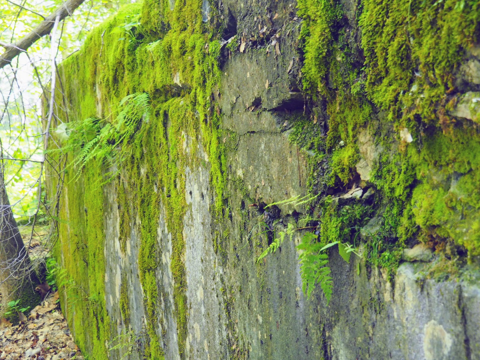 Spencer, IN McCormick's Creek State Park, Old State House Quarry