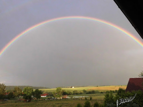 Mai 2011 Frankfurt Postkolonial