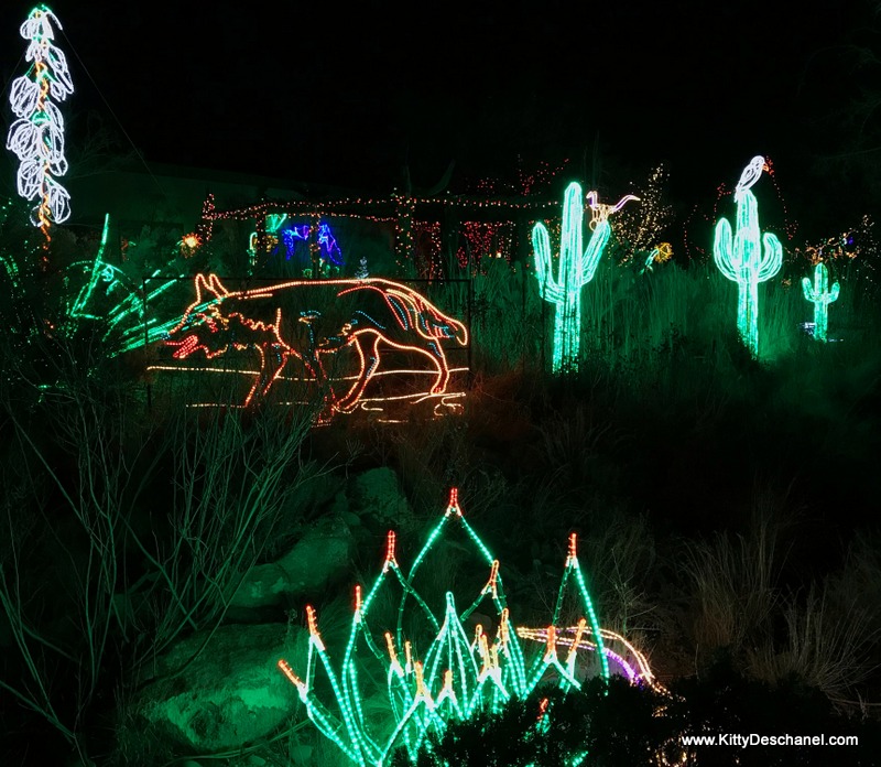 River of Lights Albuquerque