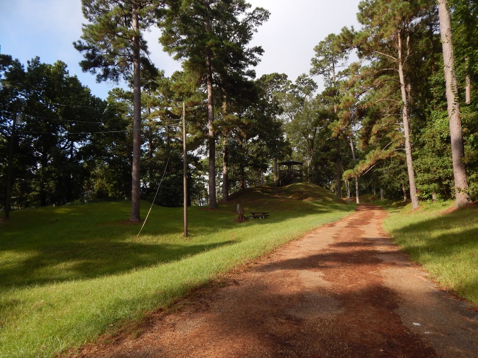 Central Louisiana Birding & Wildlife Sicily Island Hills WMA and Fort Beauregard Historical