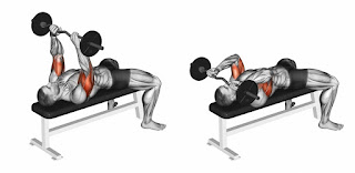 Top 5 Exercises To Build Triceps, Skullcrusher Top 5 Exercises To Build Triceps, Skullcrusher