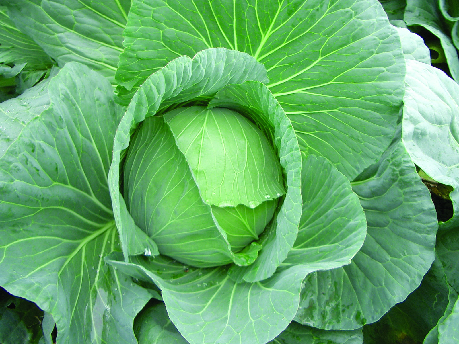 16 YEARS OF C&R Behind the scenes, memories and looking towards our