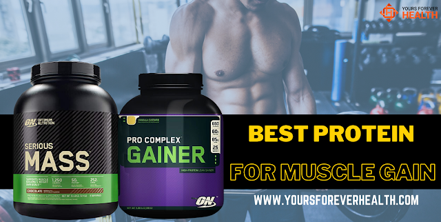 protein supplement for muscle gain