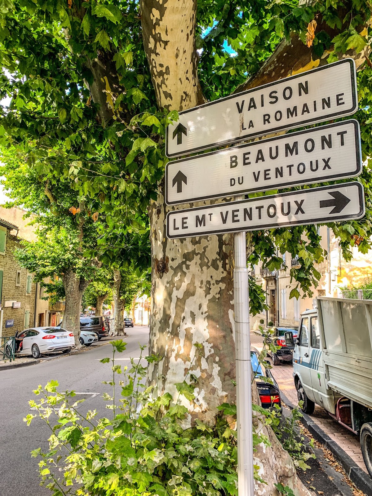 Veloce ® cycling and bike rental company Cycling 'Le Tour de France