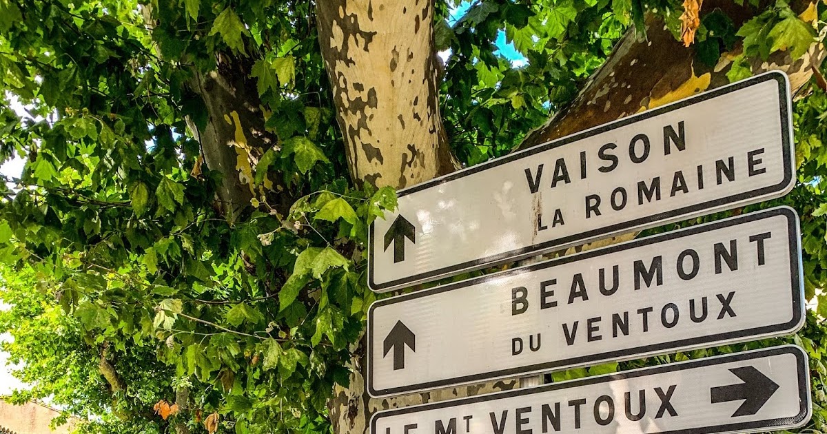 Veloce ® cycling and bike rental company Cycling 'Le Tour de France