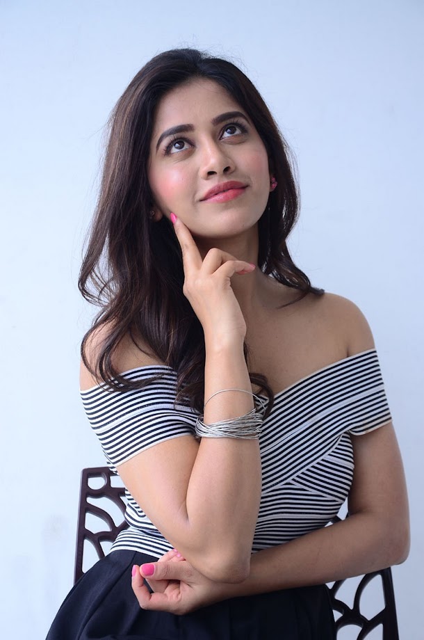 Nabha Natesh at Nannu Dochukunduvate Interview